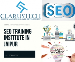 Seo Training Institute In Jaipur